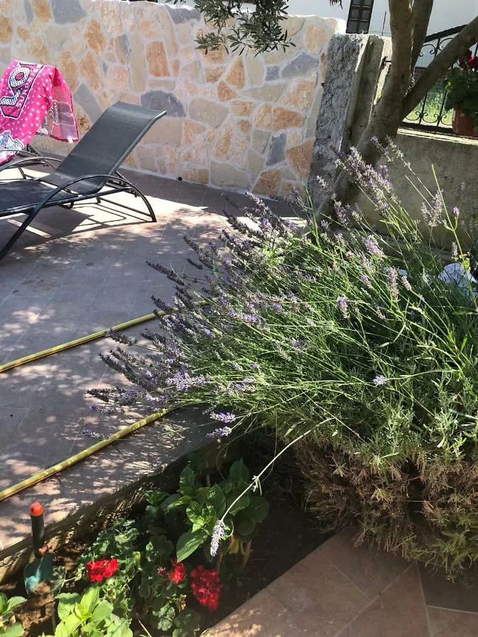 *** Guest house Denis Rooms And Apartments Bibinje Croatia